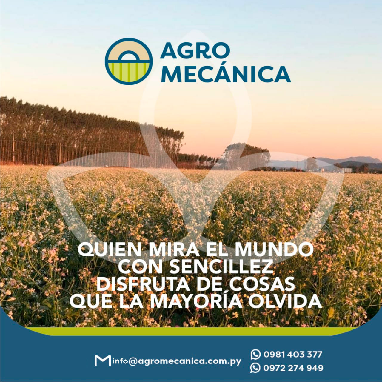 @agromecanicasa